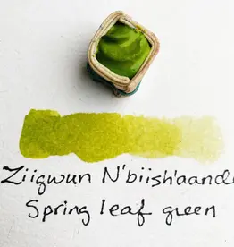 Beam Paints Beam Watercolor Paintstones #07 Ziigwun Azaadibuk'aande Spring Poplar Leaf Green