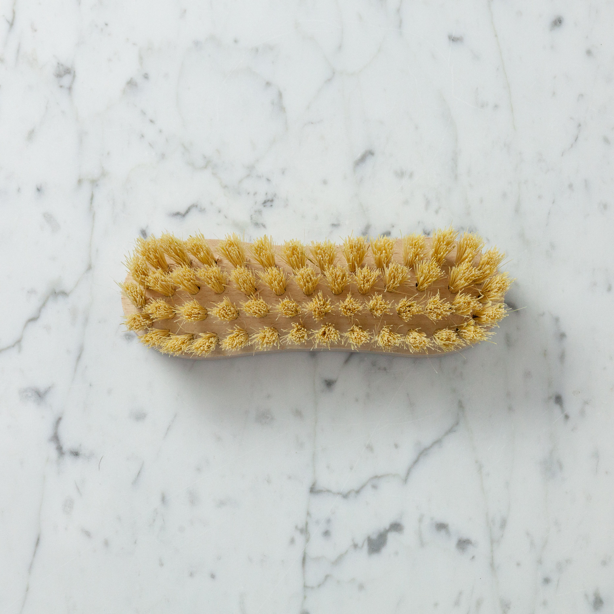 German Handleless Utility Scrubbing Brush - Stiff Tampico Bristles