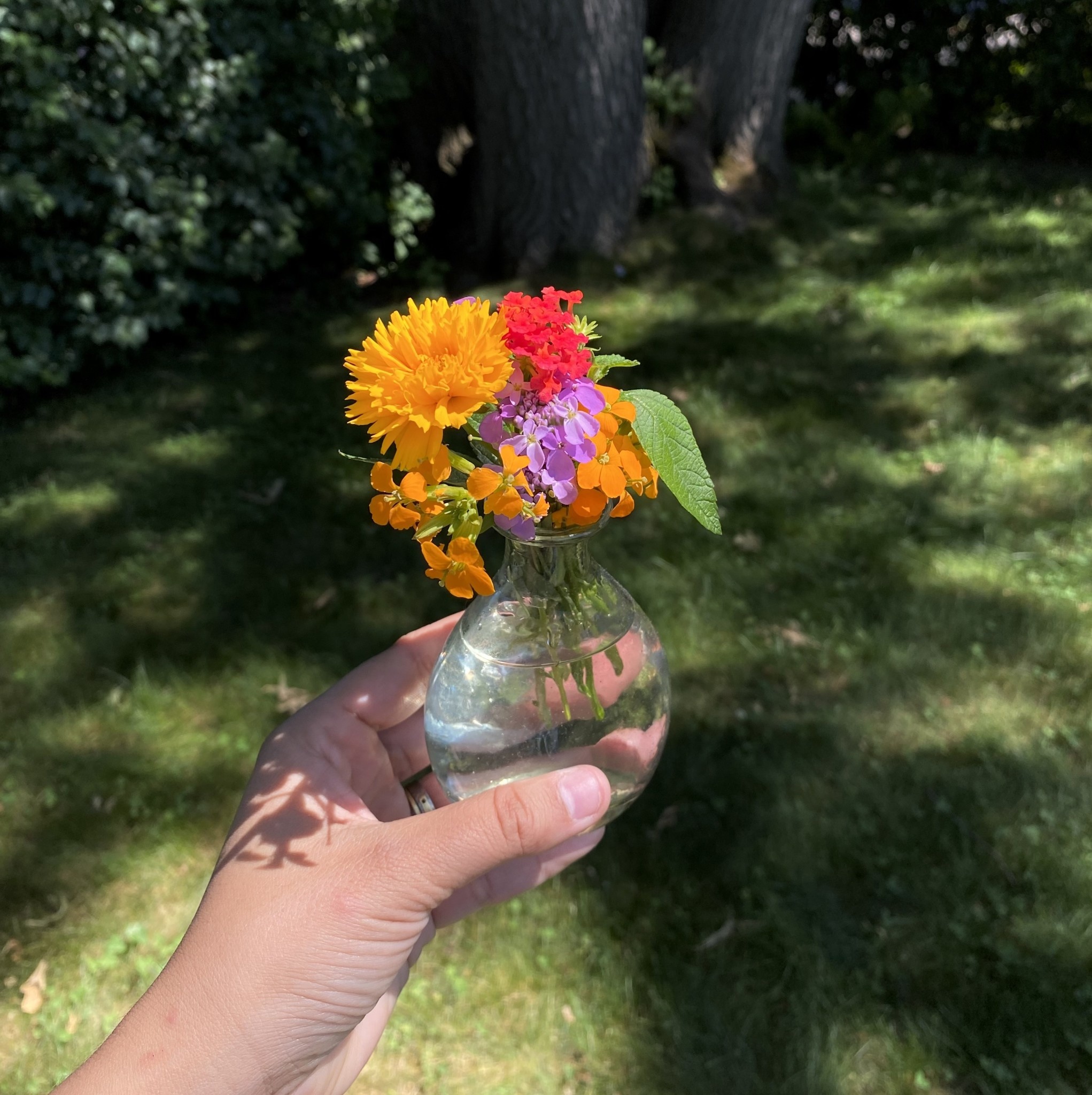 Handblown Mexican Recycled Curved Glass Bud Vase 4.5in