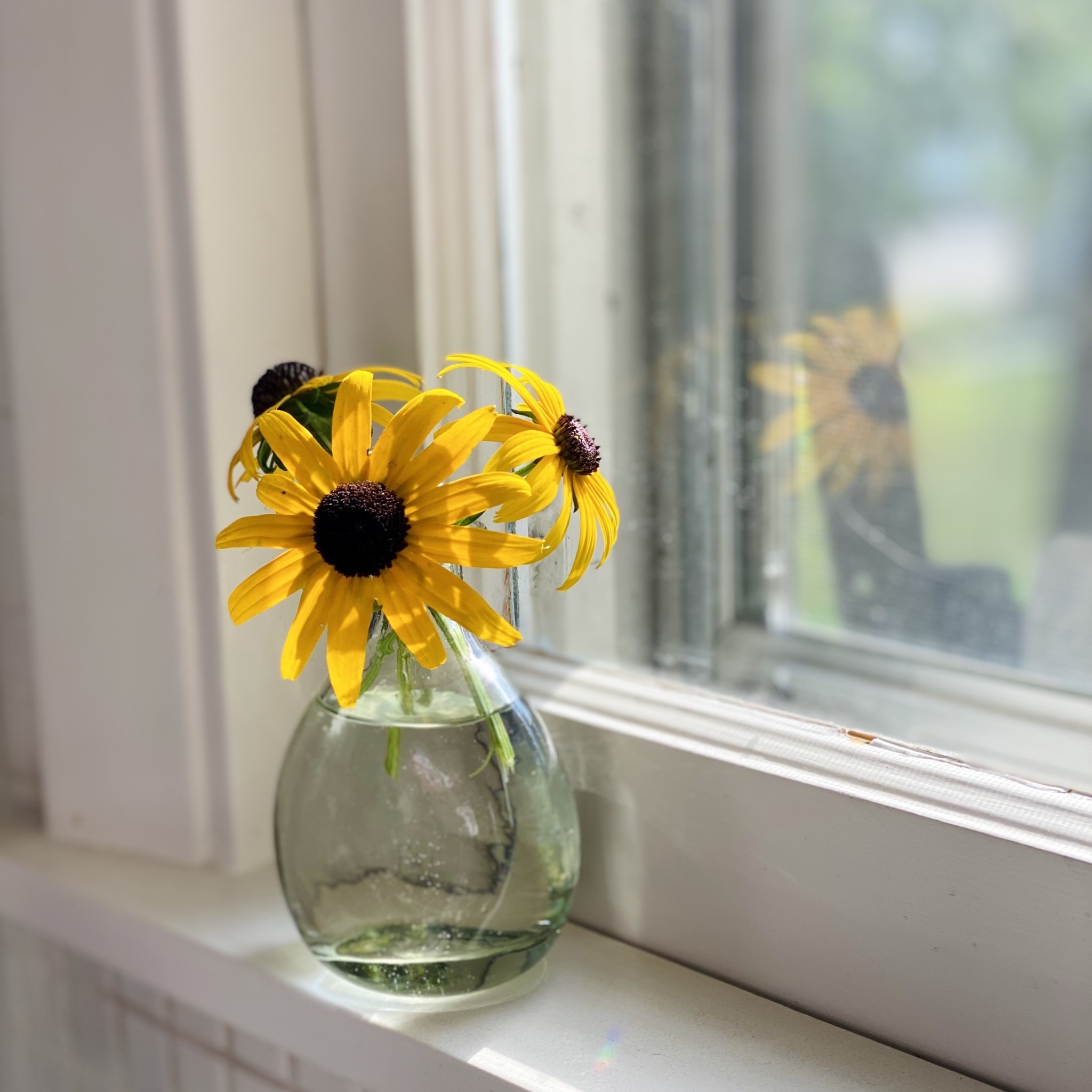 Handblown Mexican Recycled Curved Glass Bud Vase 4.5in
