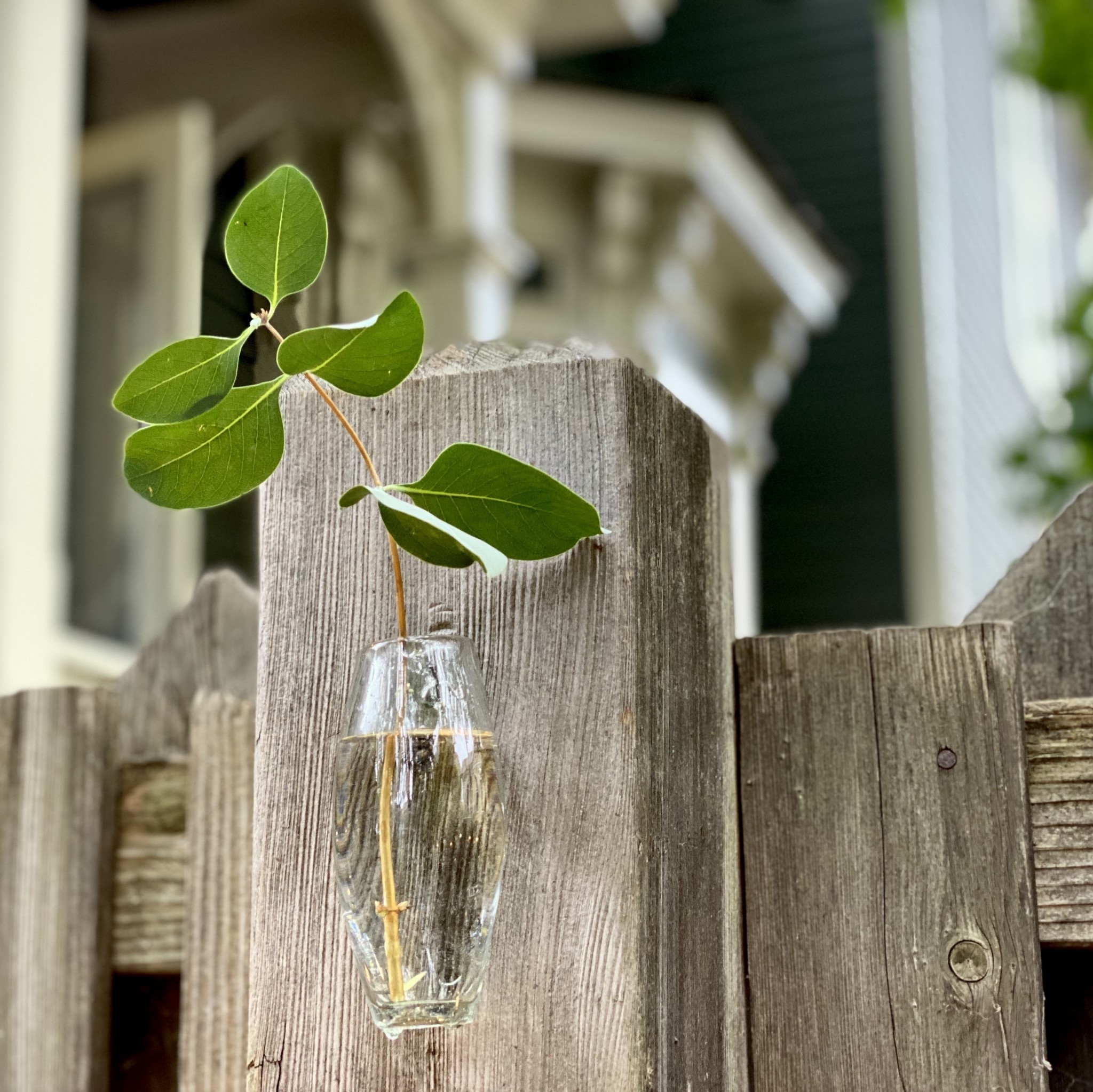 Handblown Mexican Recycled Glass Wall Vase - 5"