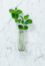 Handblown Mexican Recycled Glass Wall Vase - 5"