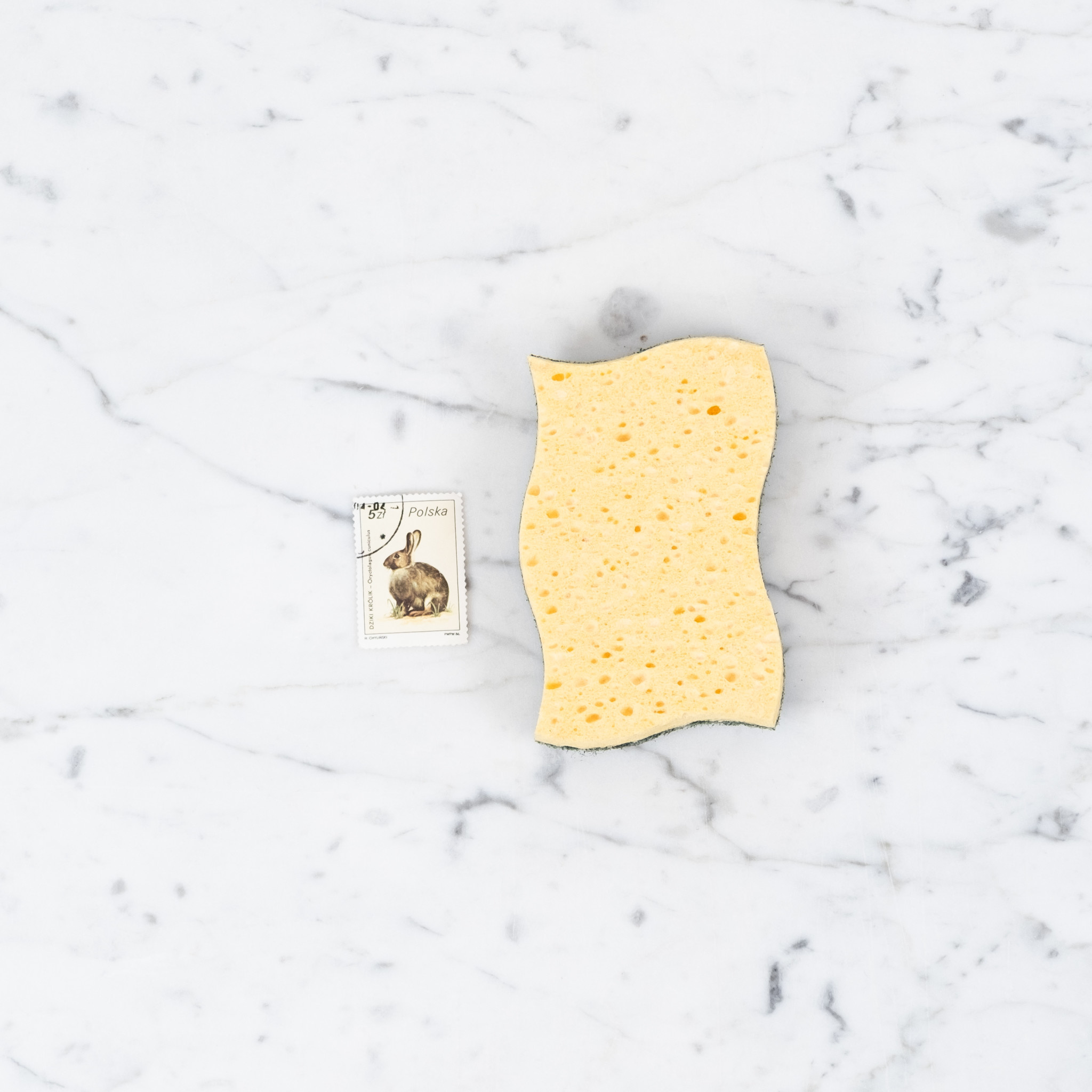 La Corvette Savon de Marseille Recycled Vegetable Kitchen Sponge