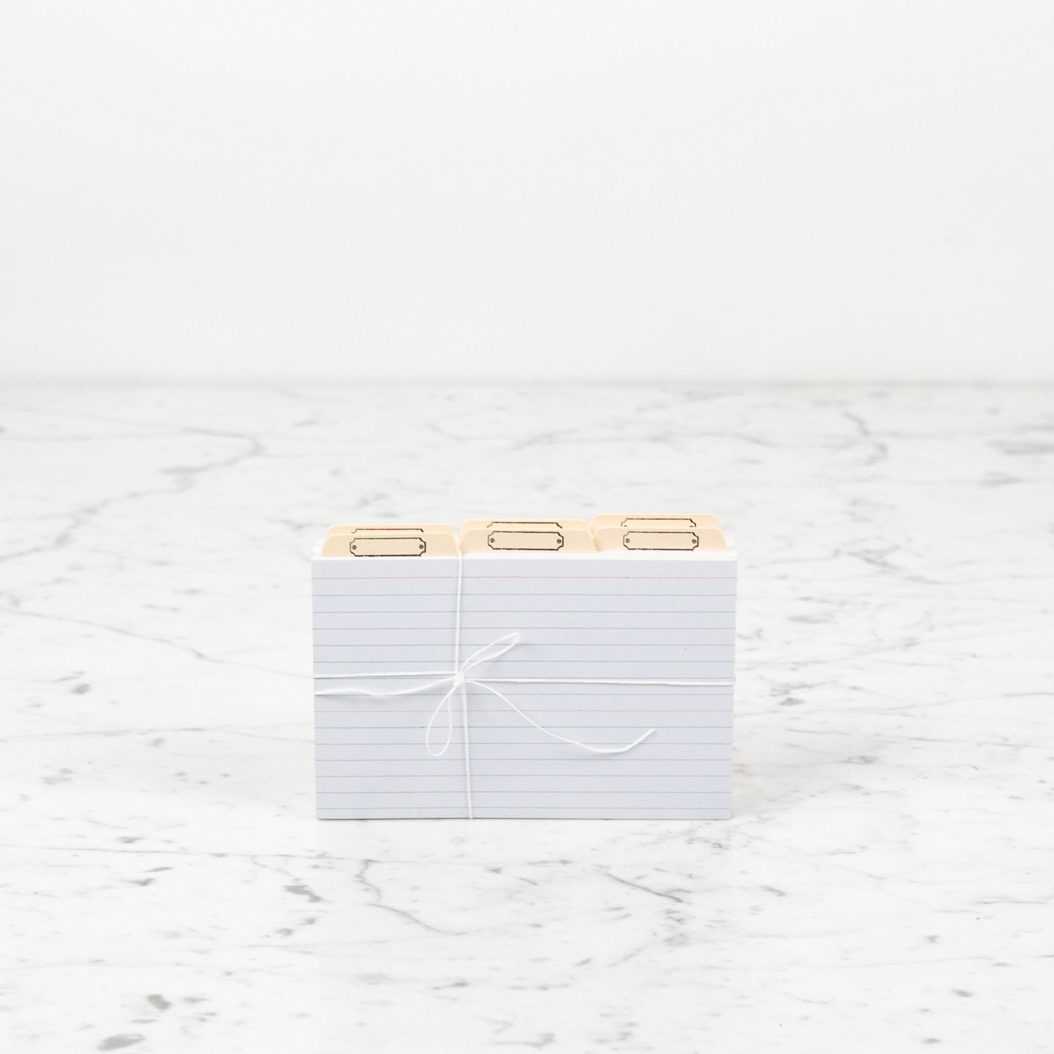Letterpress Recipe Card Organizer Set - 100ct 4x6 Index Cards