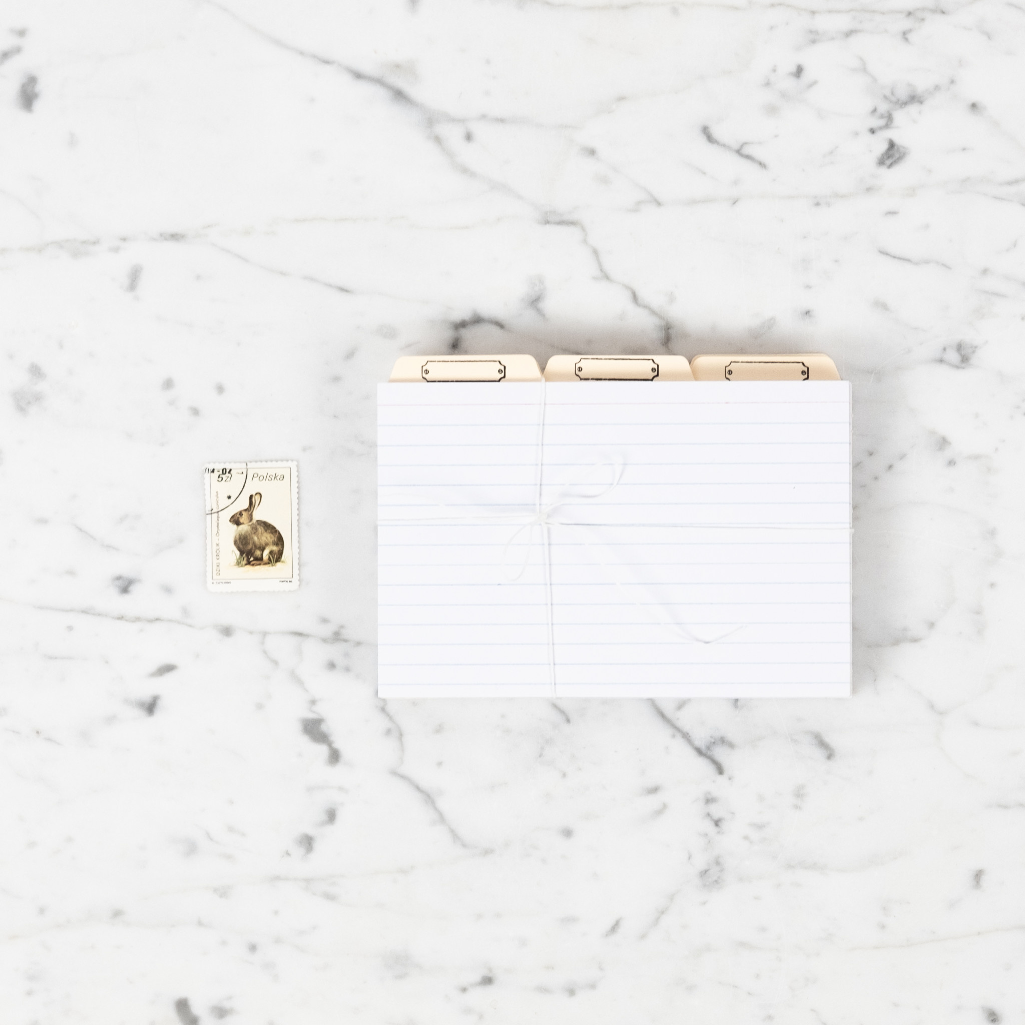 Letterpress Recipe Card Organizer Set - 100ct 4x6 Index Cards