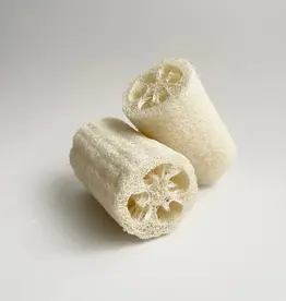 Natural Loofah Sponge