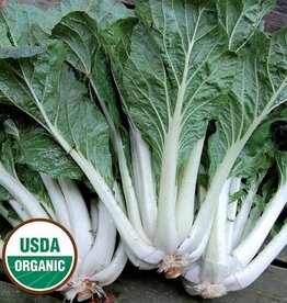 Seed Savers Exchange Seed Savers - Asian Green, Prize Choy (organic)- Pack of 200 Seeds