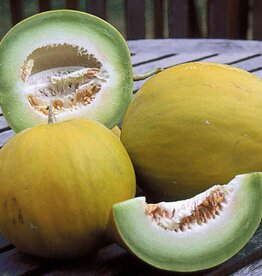 Seed Savers Exchange Seed Savers - Melon, Boule d’Or- Pack of 200 Seeds