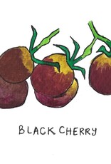 Two Pony Gardens 'Black Cherry' Heirloom Tomato Plant- LOCAL PICKUP ONLY
