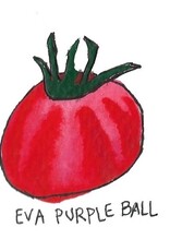 Two Pony Gardens 'Eva Purple Ball' Heirloom Tomato Plant- LOCAL PICKUP ONLY