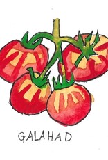 Two Pony Gardens 'Galahad' Hybrid Tomato Plant- LOCAL PICKUP ONLY