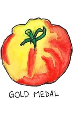 Two Pony Gardens 'Gold Medal' Heirloom Tomato Plant- LOCAL PICKUP ONLY