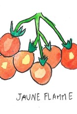 Two Pony Gardens 'Jaune Flamme' Heirloom Tomato Plant- LOCAL PICKUP ONLY