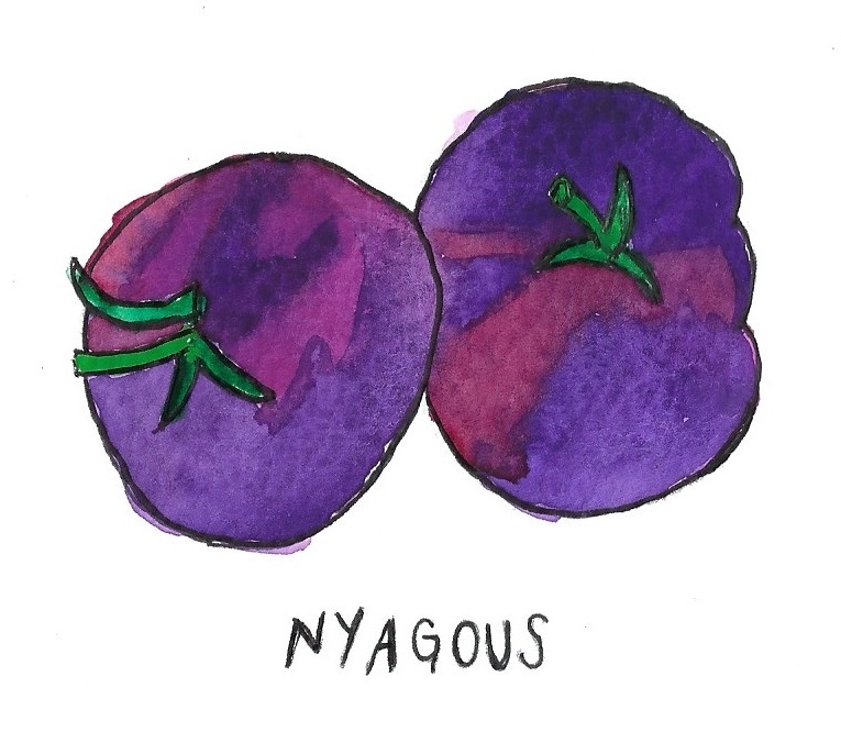 Two Pony Gardens 'Nyagous' Heirloom Tomato Plant- LOCAL PICKUP ONLY
