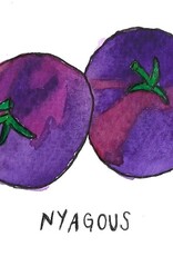 Two Pony Gardens 'Nyagous' Heirloom Tomato Plant- LOCAL PICKUP ONLY