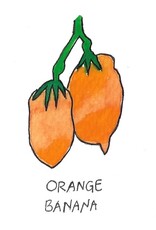 Two Pony Gardens 'Orange Banana' Heirloom Tomato Plant- LOCAL PICKUP ONLY