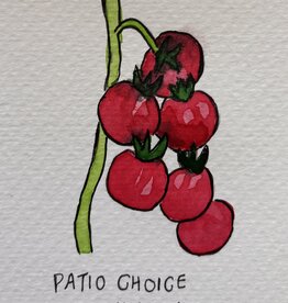 Two Pony Gardens 'Patio Choice' Hybrid Tomato Hanging Basket- LOCAL PICKUP ONLY