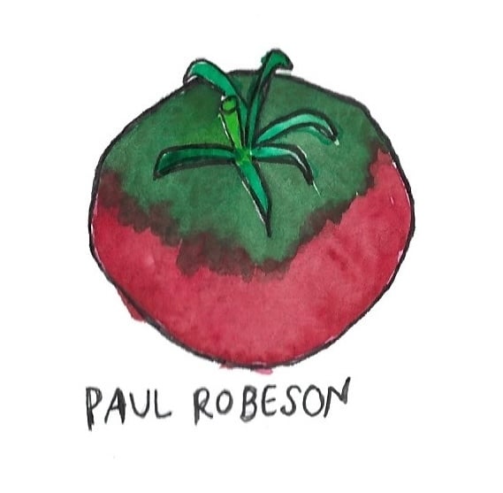 Two Pony Gardens 'Paul Robeson' Heirloom Tomato Plant- LOCAL PICKUP ONLY