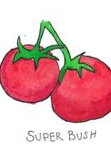Two Pony Gardens 'Super Bush' Hybrid Tomato Plant- LOCAL PICKUP ONLY